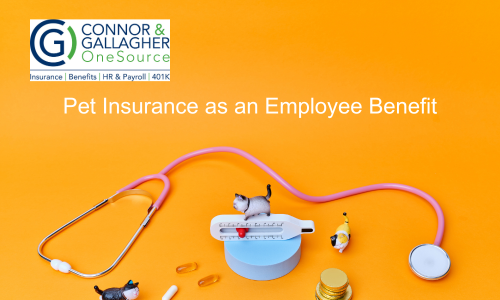 Pet Insurance as an Employee Benefit